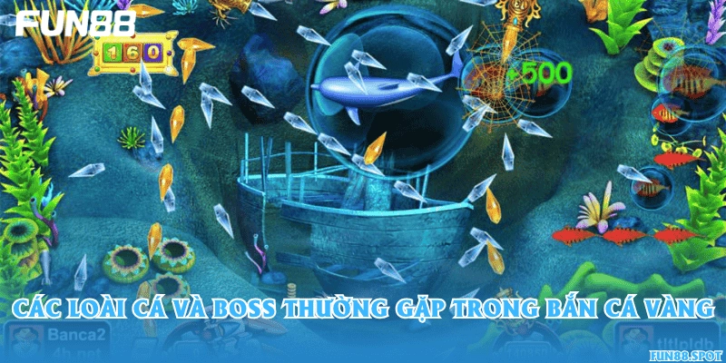 Các loài cá và boss thường gặp trong bắn cá Vàng