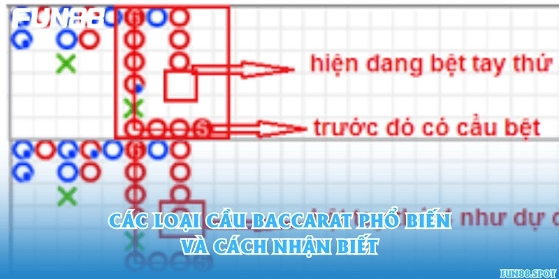 Các loại cầu Baccarat phổ biến và cách nhận biết