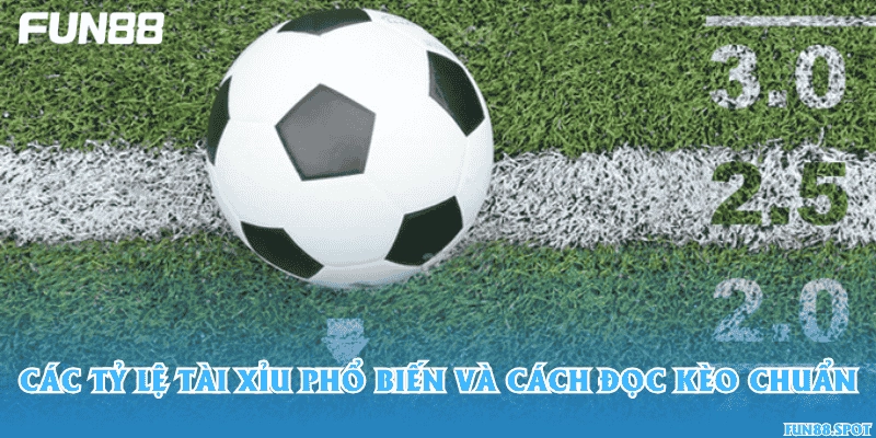 Các tỷ lệ tài xỉu phổ biến và cách đọc kèo chuẩn