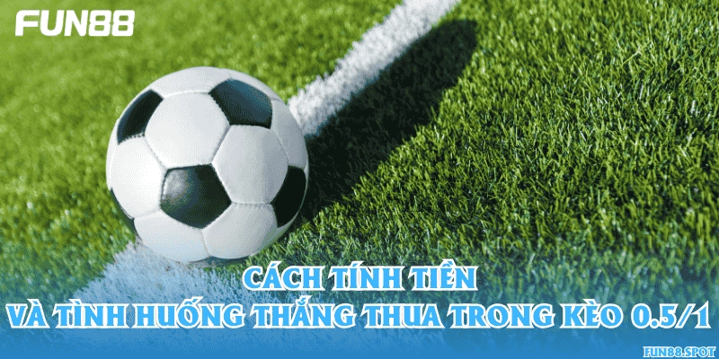 Cách tính tiền và tình huống thắng thua trong kèo 0.5/1