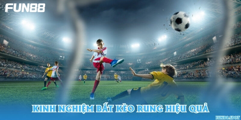 Kinh nghiệm bắt kèo rung hiệu quả