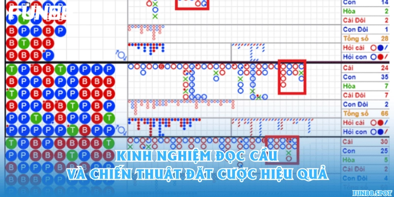 Kinh nghiệm đọc cầu và chiến thuật đặt cược hiệu quả